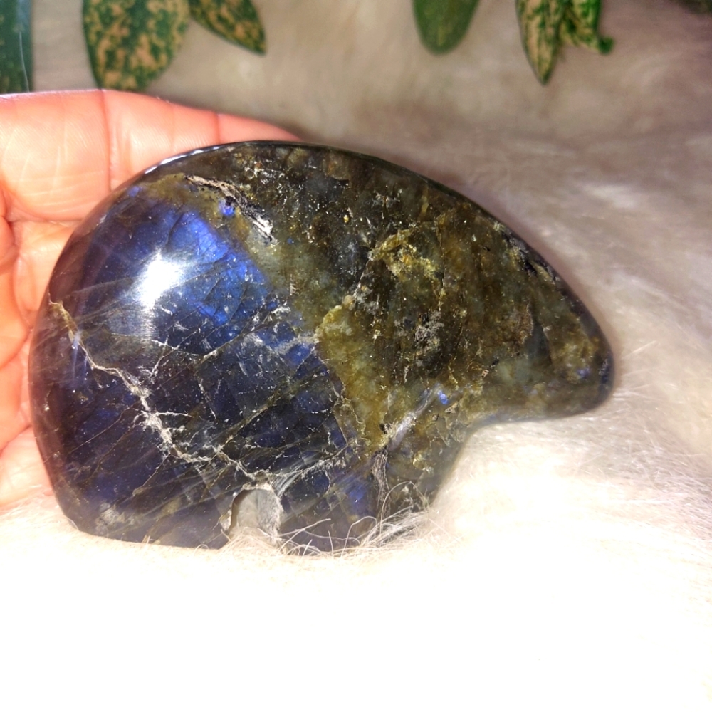 Labradorite Zuni Bear Healing, Protective Stone